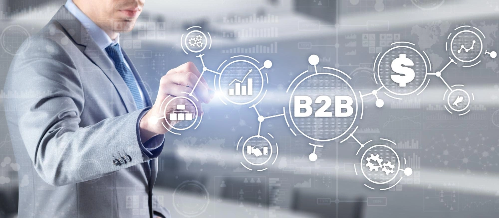 B2B platform expansion